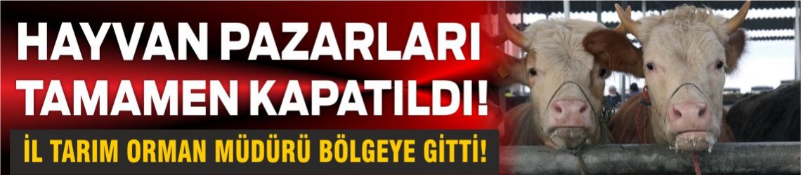 Balıkesir’de Hayvan Pazarları Kapatıldı! İşte Nedeni