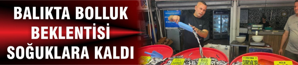 17 Eylül 2025 Balıkesir'de Balık Fiyatları