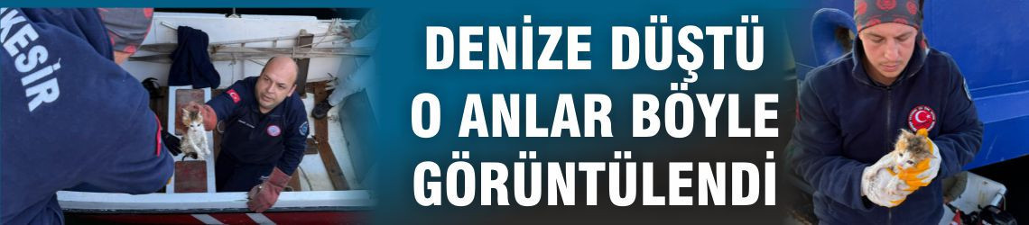 Balıkesir'de Denize Düşen Yavru Kedi Kurtarıldı