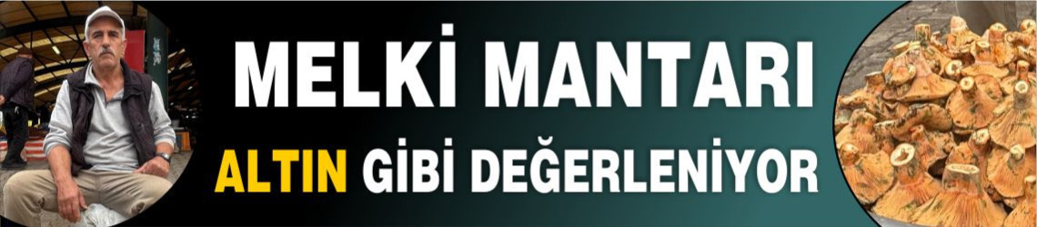 Dursunbey’den Doğanın Şifası: Melki Mantarı Altın Gibi Değerleniyor