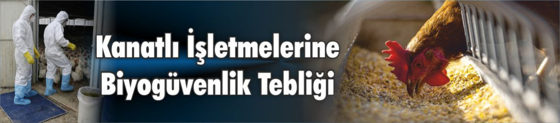 Tarım ve Orman Bakanlığı’ndan Yeni Düzenleme: Kanatlı İşletmelerinde Biyogüvenlik Kuralları Yürürlüğe Girdi