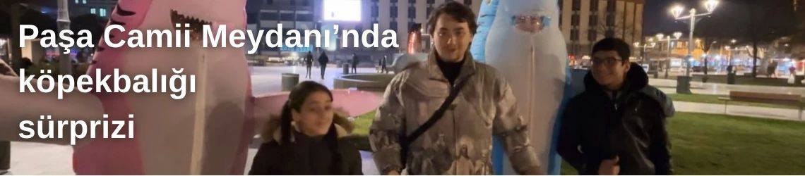 Paşa Camii Meydanı’nda köpekbalığı sürprizi