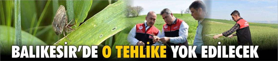 Balıkesir’de O Tehlike İçin Sahaya İndiler