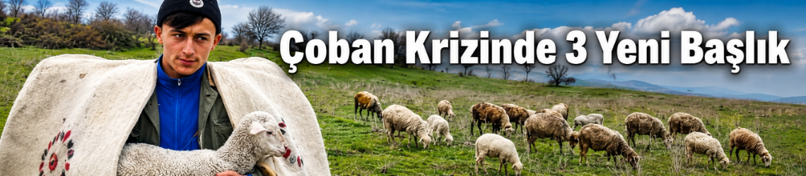Çoban Krizinde 3 Yeni Başlık