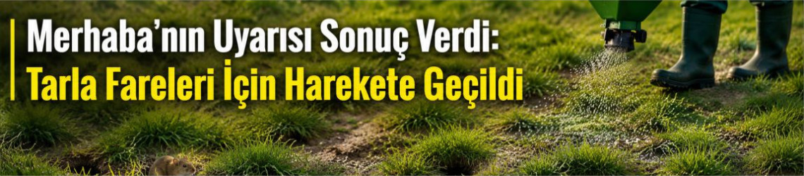 Merhaba’nın Uyarısı Sonuç Verdi: Tarla Fareleri İçin Harekete Geçildi