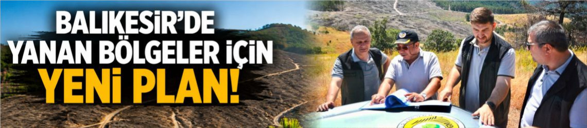 Balıkesir’de Yanan Bölgeler İçin Yeni Plan!