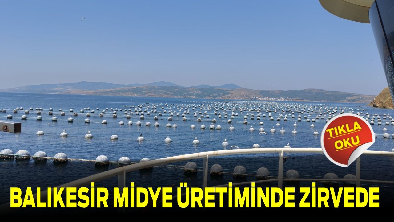 Balıkesir Midye Üretiminde Zirvede