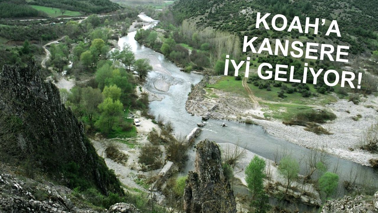 Kanser Hastaları Balıkesir’de O Yere Gidiyor