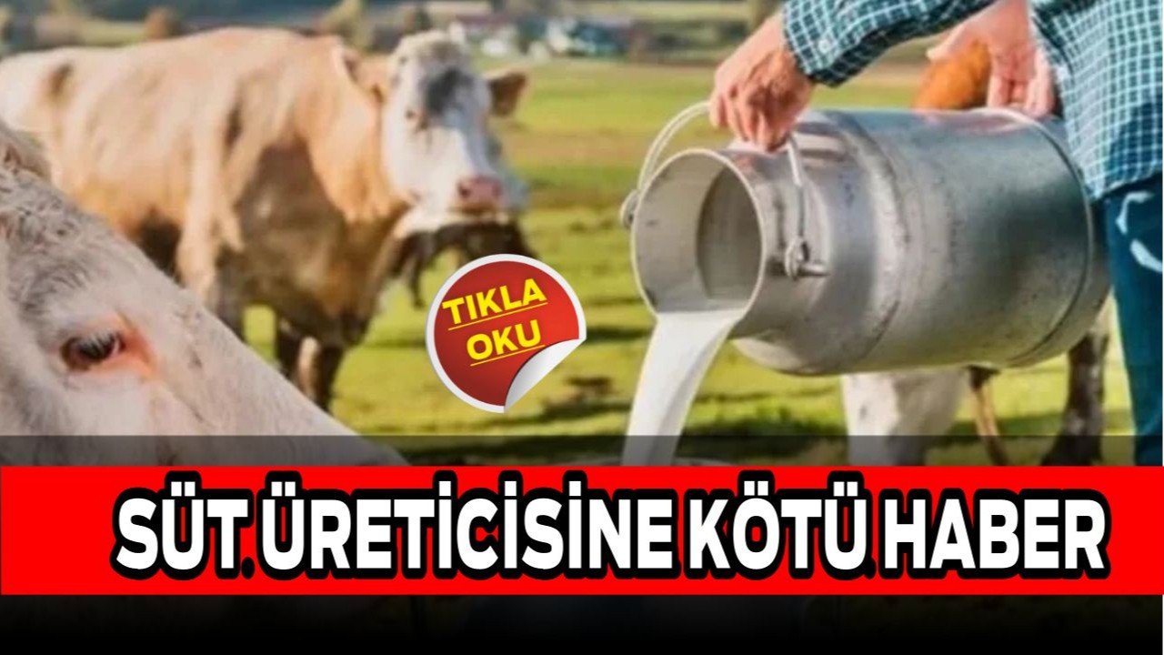 Süt ve Et Üreticisine Kötü Haber: Girdi Fiyatları Tırmanıyor!