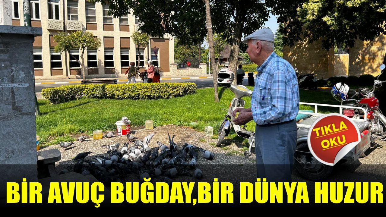 Bir Avuç Buğday, Bir Dünya Huzur