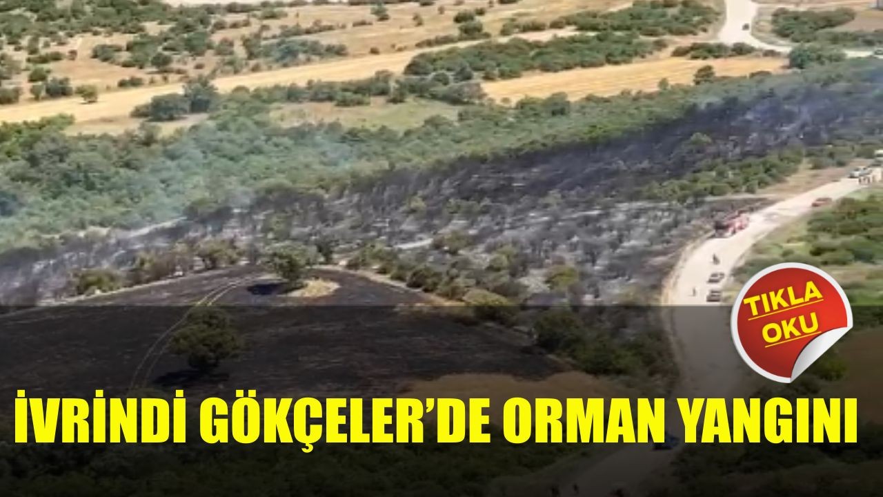 İvrindi Gökçeler’de Orman Yangını