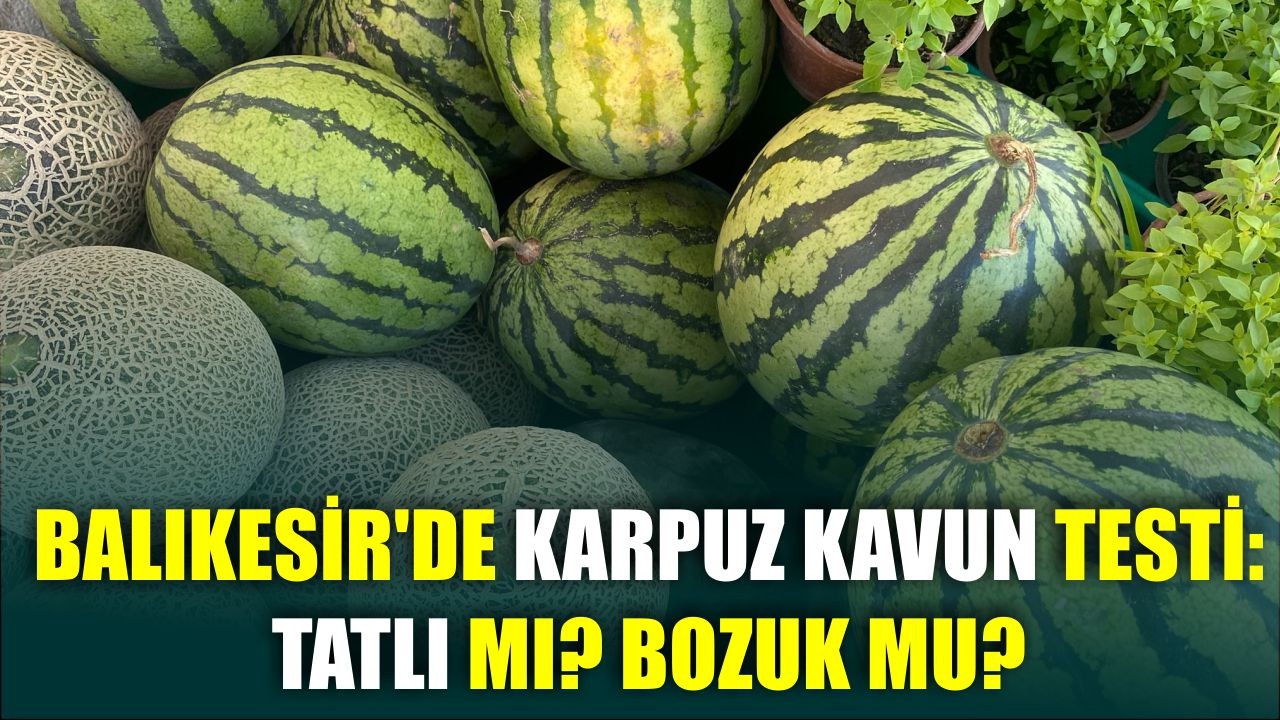 Balıkesir'de Karpuz Kavun Testi: Tatlı Mı? Bozuk Mu?