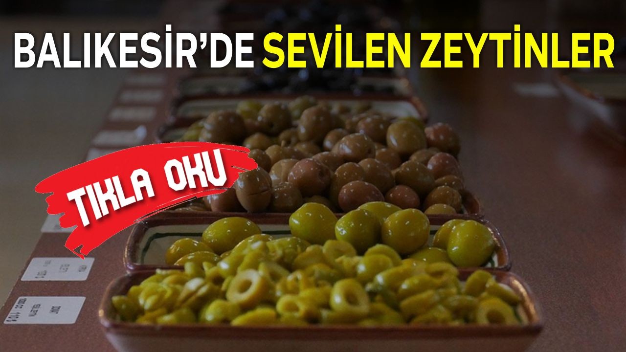 Zeytin Cenneti Balıkesir: Tat Testi ve Farklı Zeytin Türleri