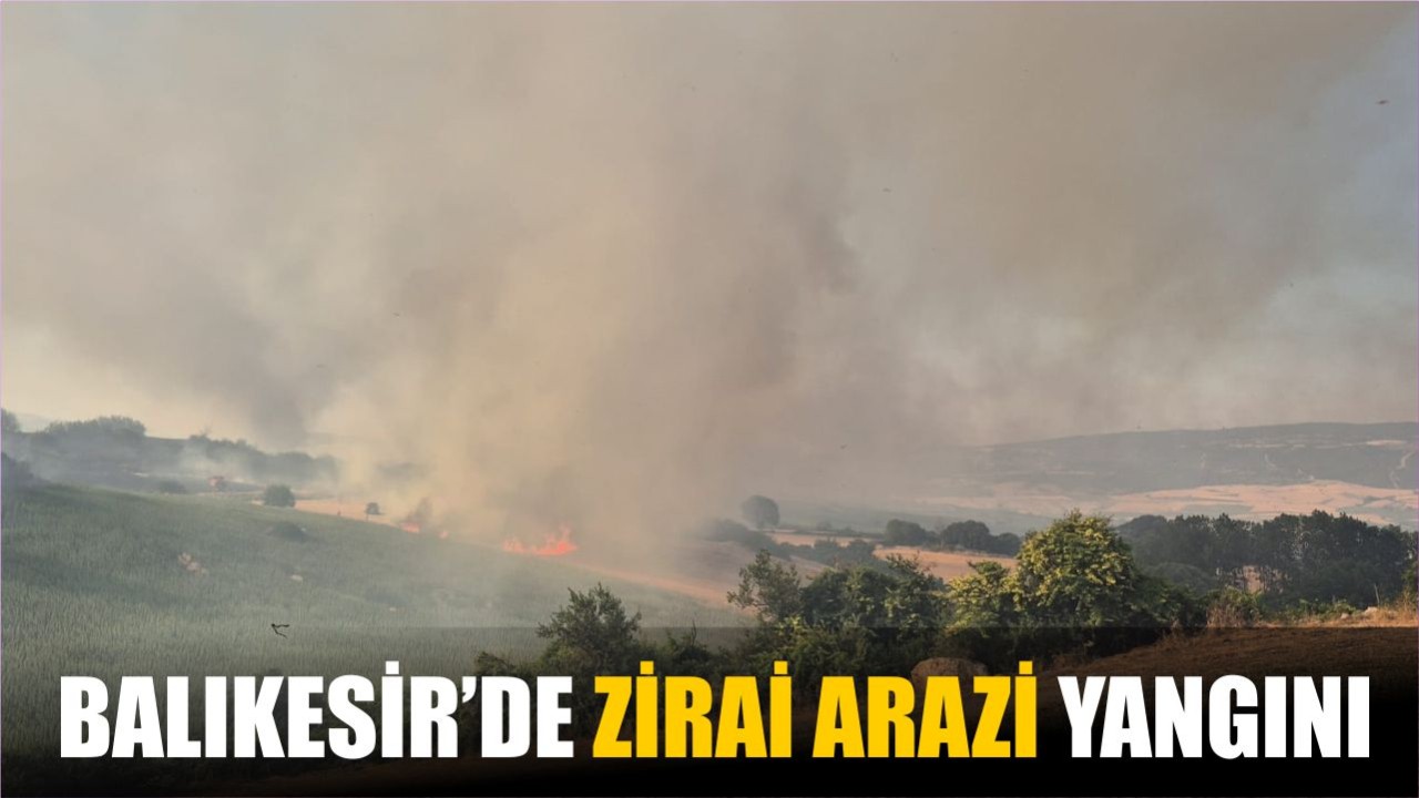 Balıkesir’de Zirai Arazi Yangını: Susurluk ve Bigadiç’te Ekipler Seferber Oldu