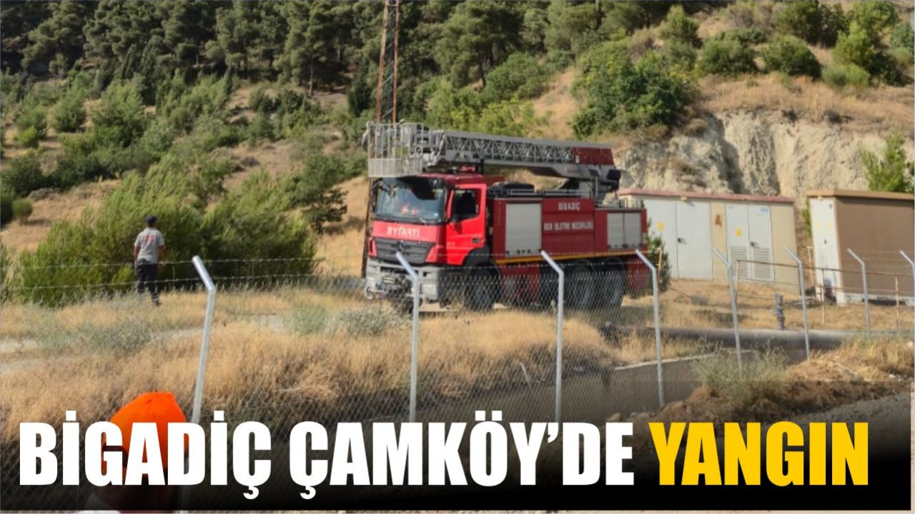 Bigadiç Çamköy'de Orman Yangını! Müdahale Sürüyor