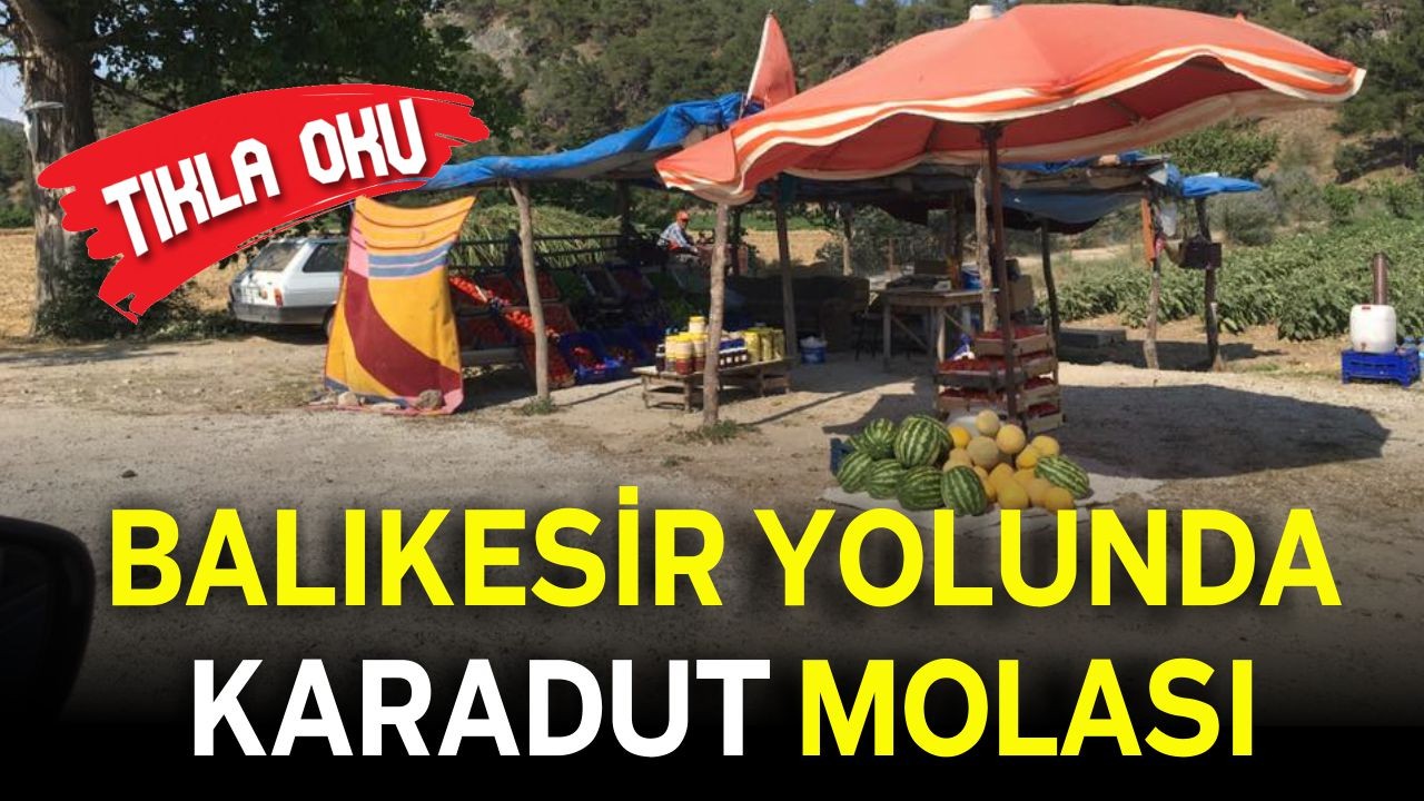 Yolu Balıkesir’den Geçen Karadut Suyuna Hayran Kalıyor