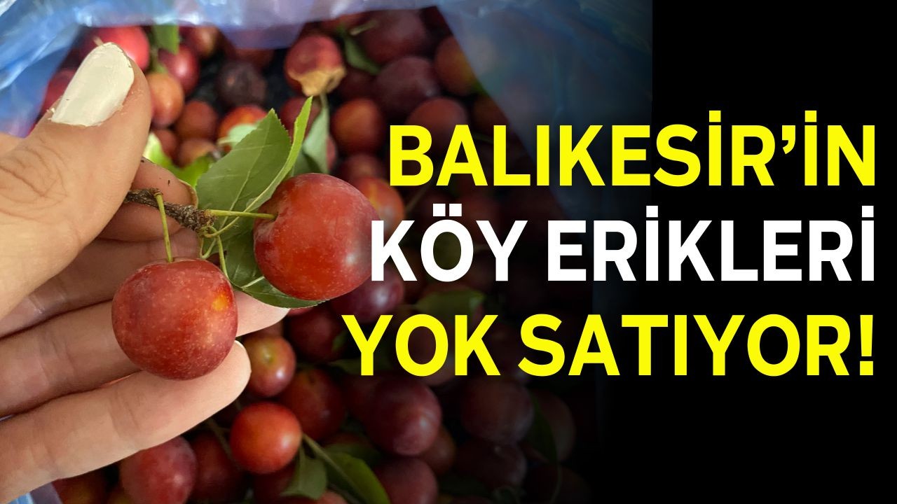 Balıkesir’de Köy Erikleri Vatandaşların Gözdesi