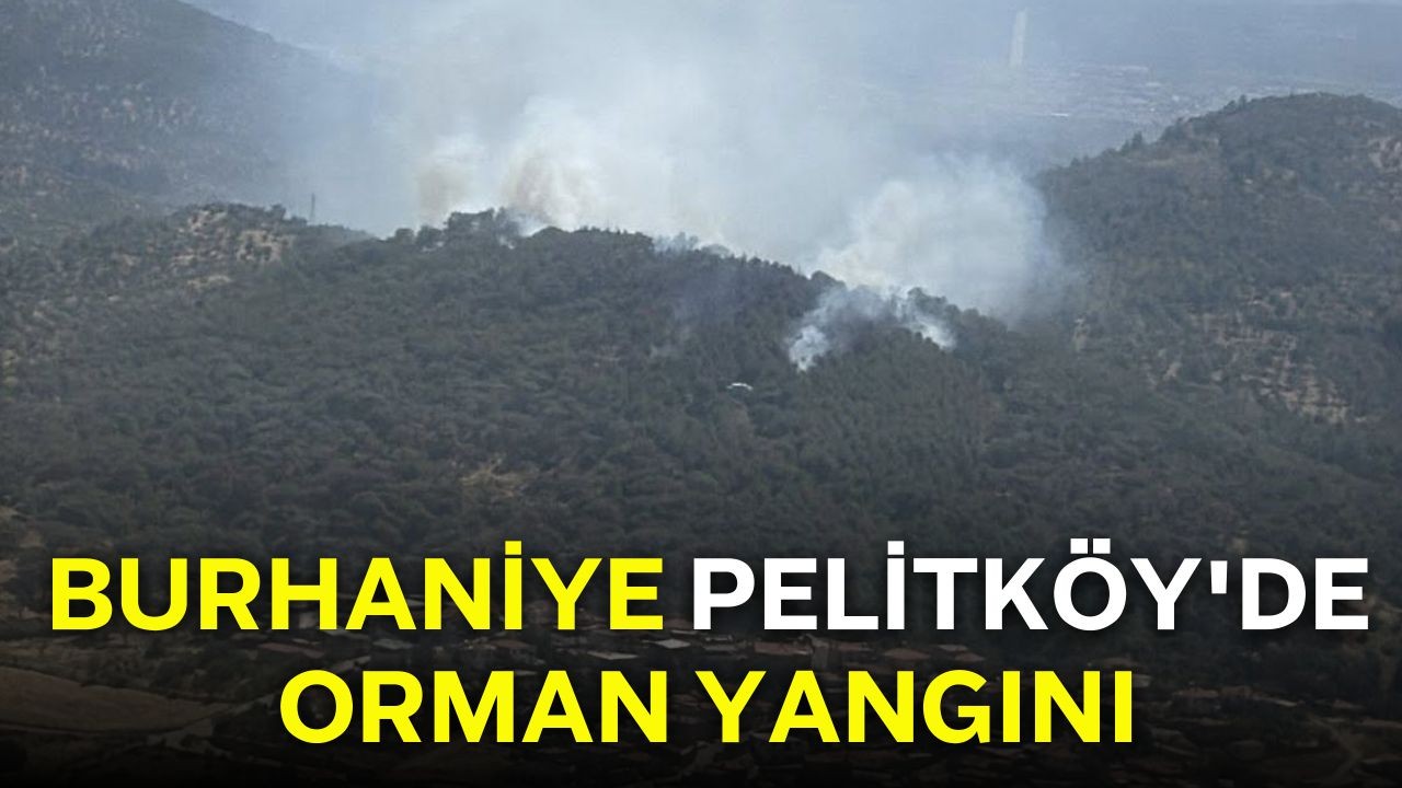 Burhaniye Pelitköy'de Orman Yangını