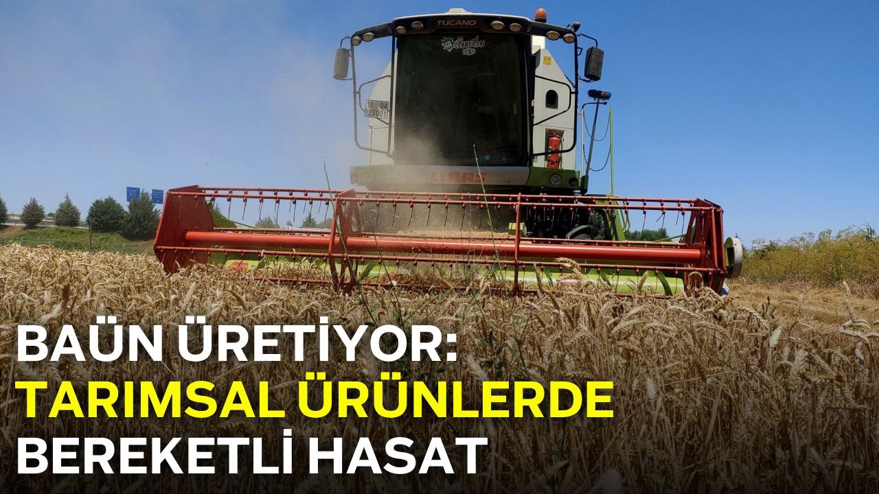 Akademiden Üretime: BAÜN'de Hasat Zamanı