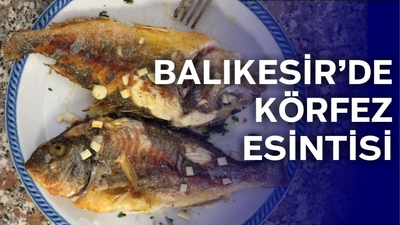 Balıkesir'in Körfez Balıklarıyla Sofrada Ege Esintisi