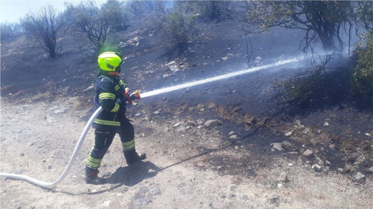Savaştepe’de Orman Yangını: 10 Hektar Alan Zarar Gördü