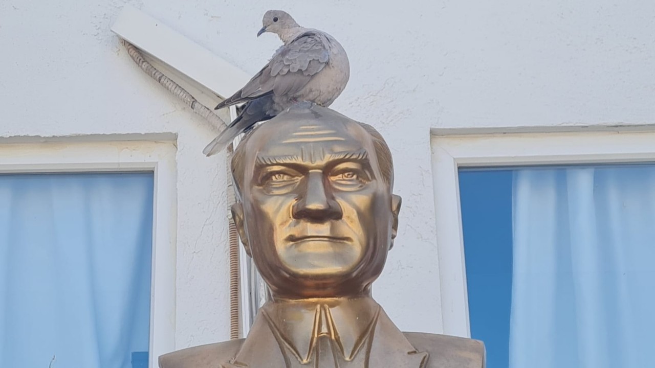 Güvercin İçin En Güvenli Liman Atatürk Büstü