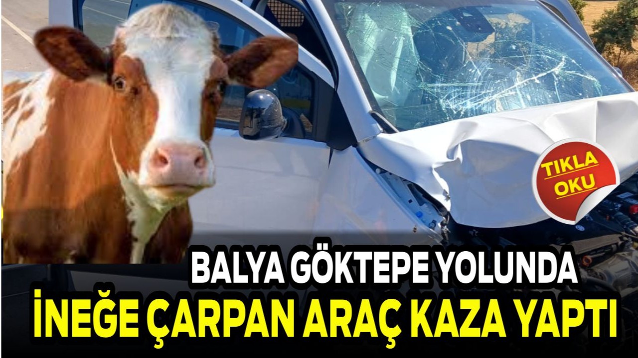 Balya Göktepe Yolunda İneğe Çarpan Araç Kaza Yaptı Sürücü Hafif Yaralandı