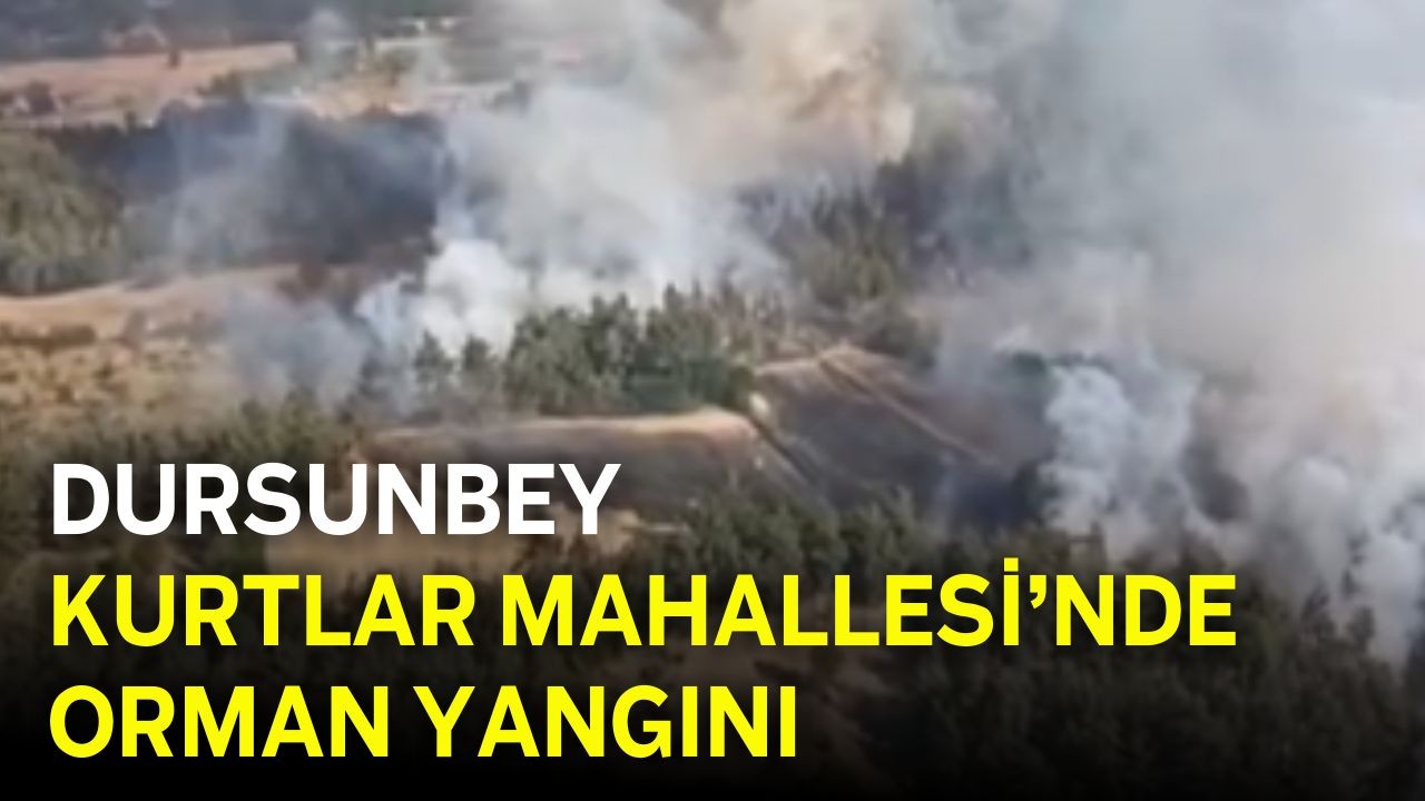 Dursunbey Kurtlar Mahallesi’nde Orman Yangını