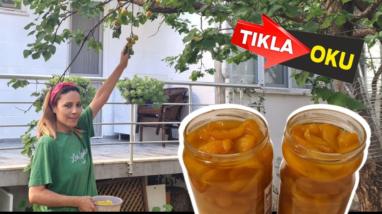 Mutfaklarda Tatlı Telaş: Kayısı Reçeli Sezonu Başladı