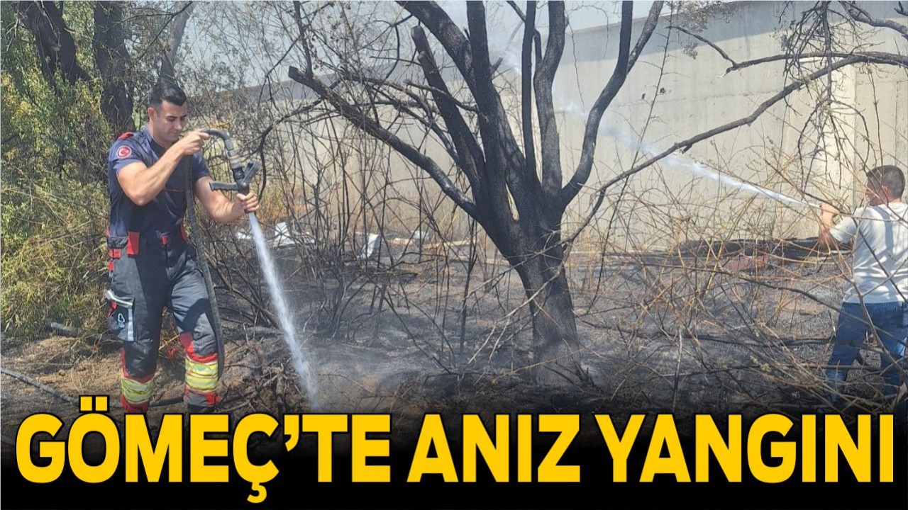 Gömeç’te Anız Yangını Korkuttu