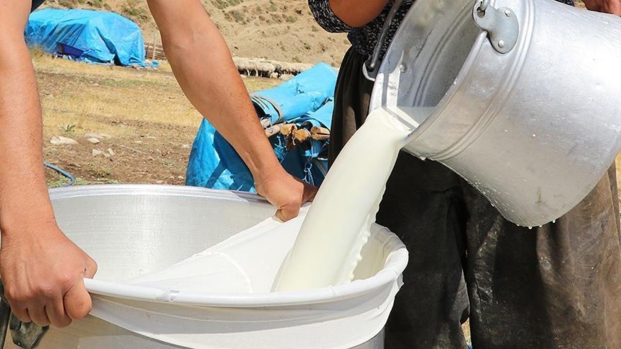 Çiğ süte %7 zam: Çiğ süt zamlı litre fiyatı açıklandı!
