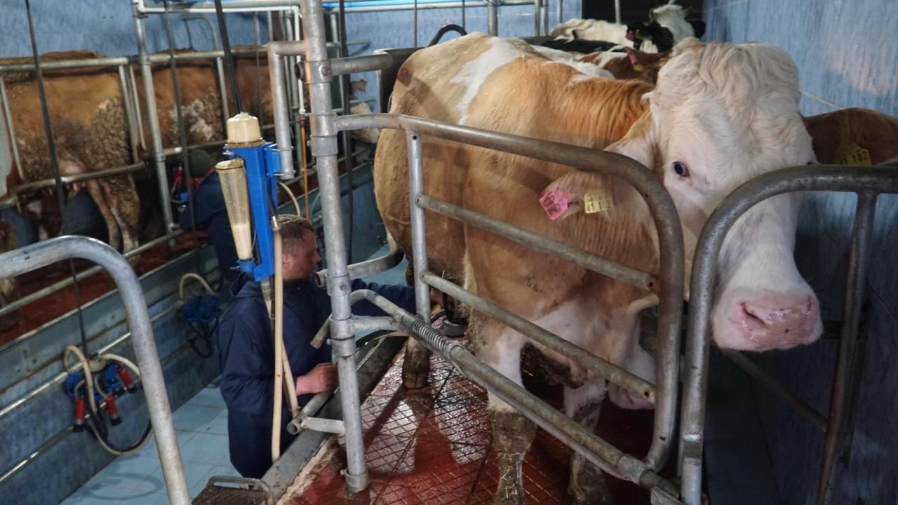 Çiğ İnek Sütü Litre Fiyatı 18,35 TL’ye Yükseltildi