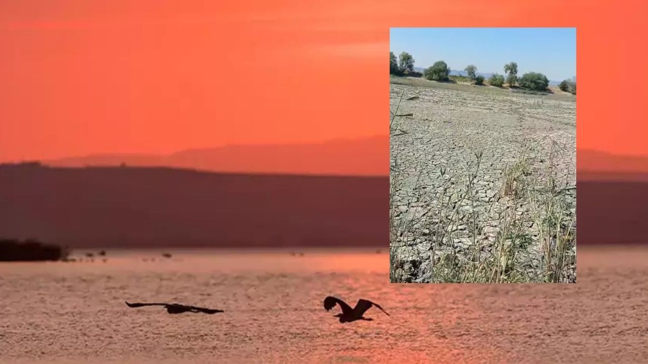 Manyas Gölü'nde kuraklık... Sular çekildi