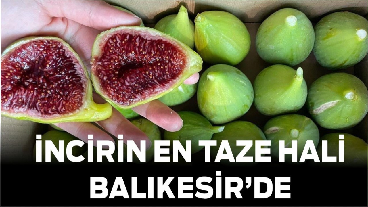 İncirin En Taze Hali Balıkesir’de