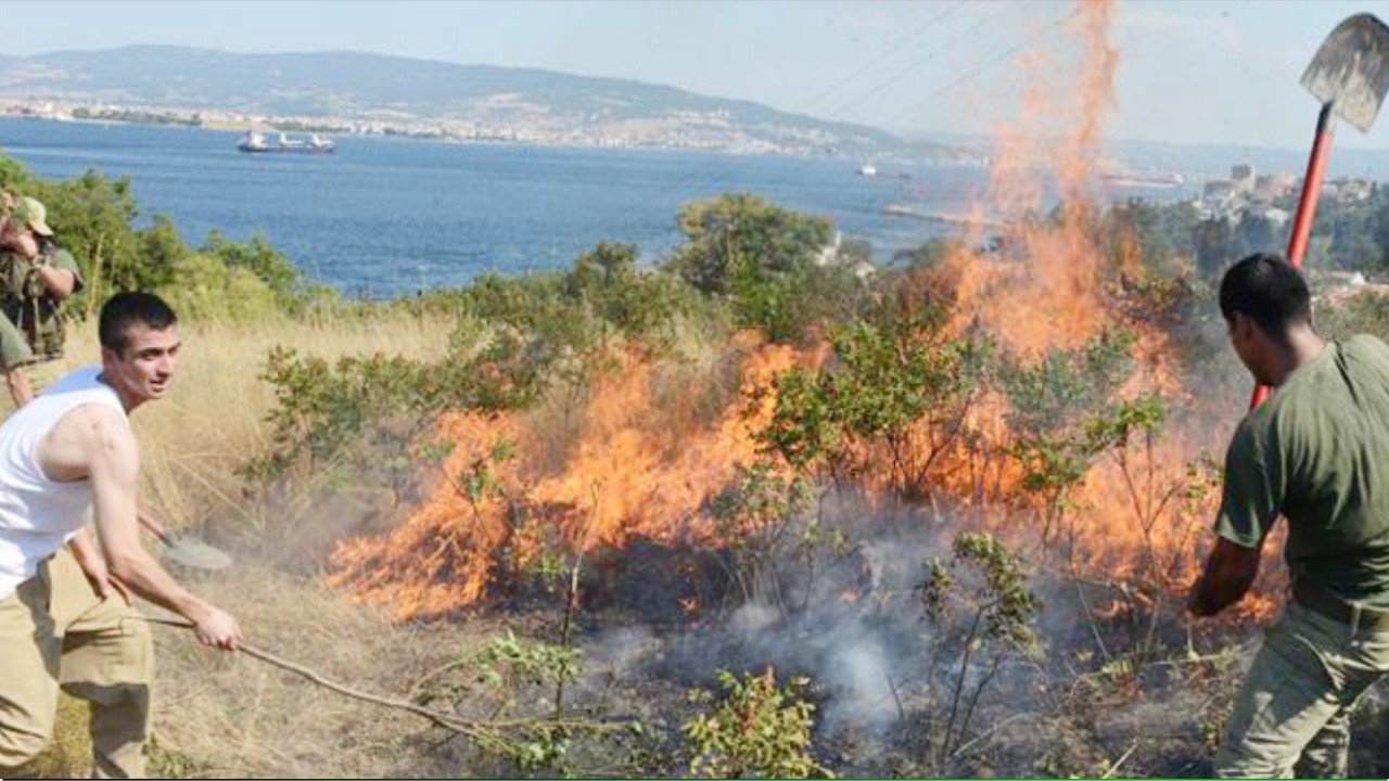 19-25 Temmuz Arası Orman Yangını Riski Yükseldi: Uzmanlardan Kritik Uyarılar