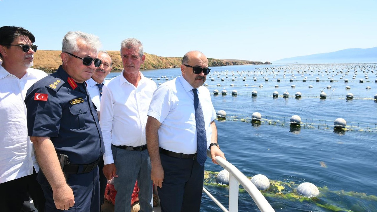 Balıkesir, Midye Üretiminde Türkiye’nin Zirvesinde
