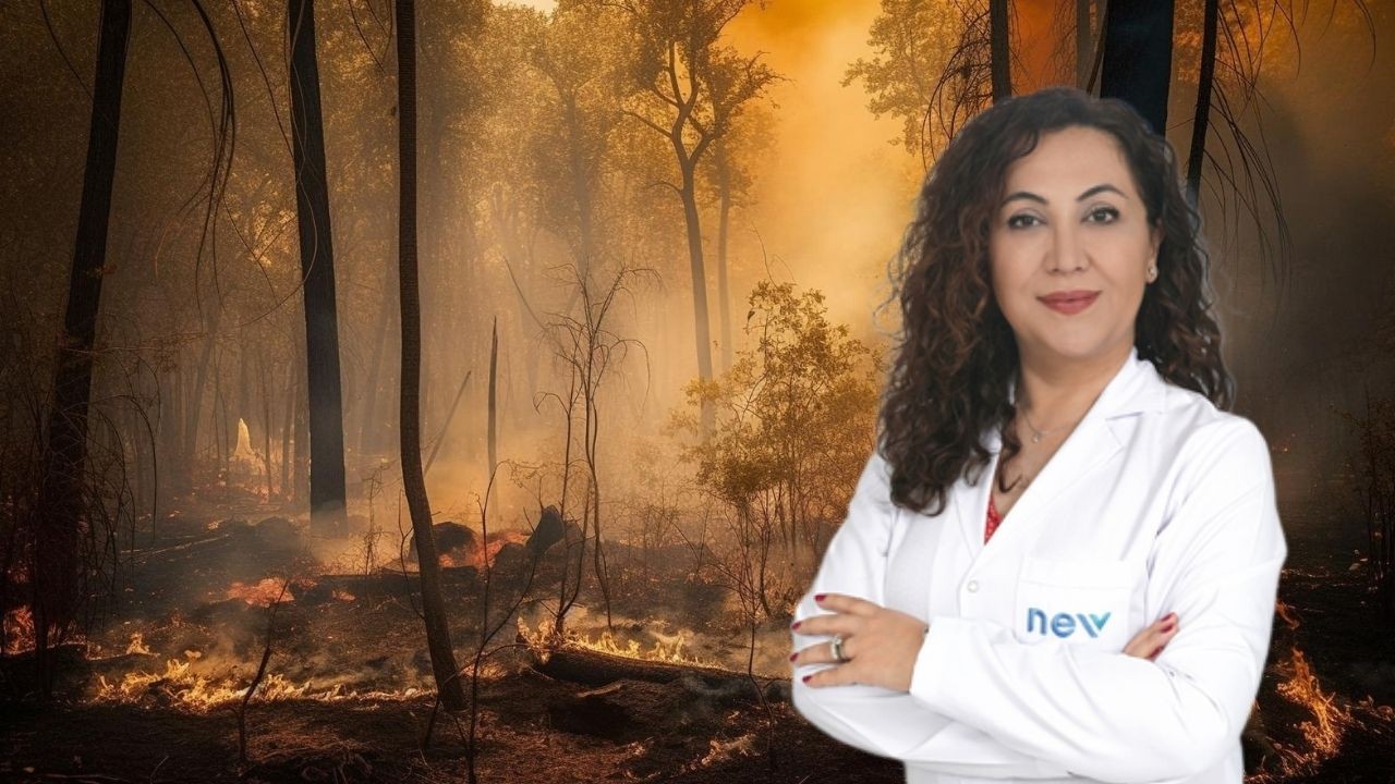 Kül Yağışı Sağlık İçin Tehlike: ”Ne Yapmalı”