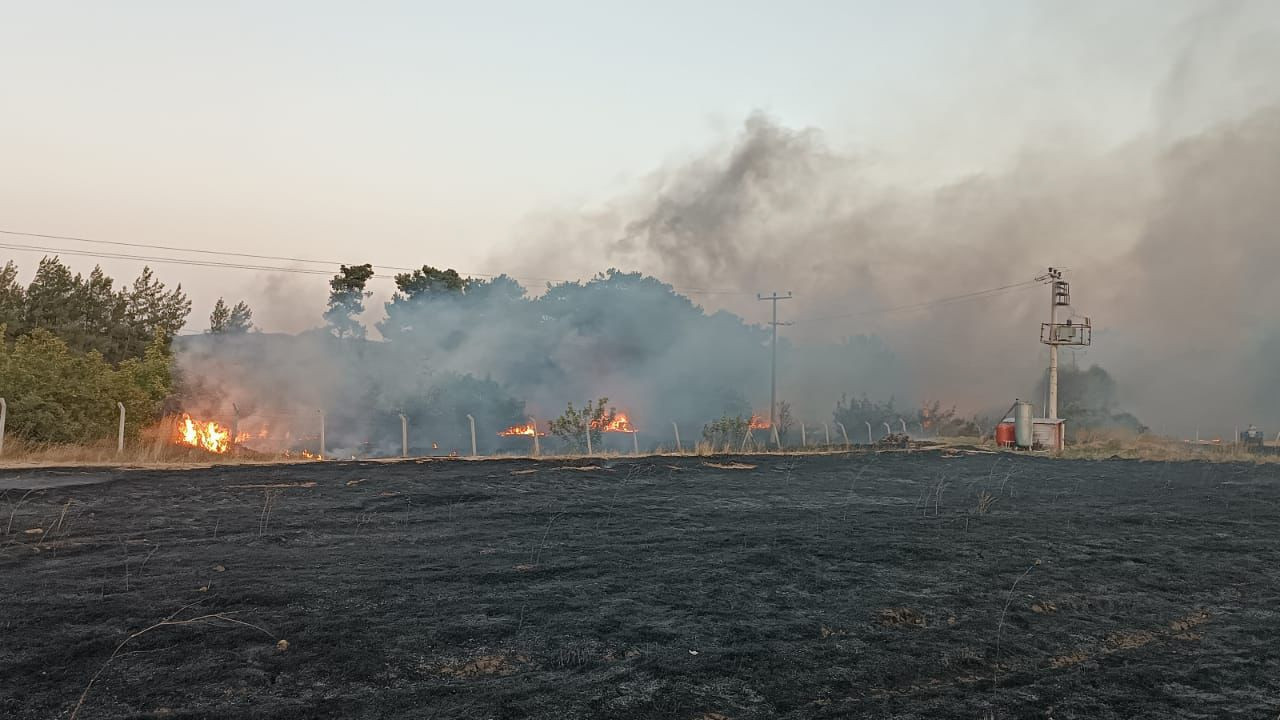 Balıkesir Savaştepe’de Korkutan Orman Yangını