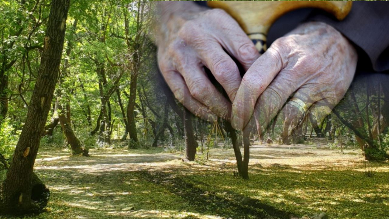 Balıkesir’de Alzheimer Hastası Zeytinlikte Ölü Bulundu