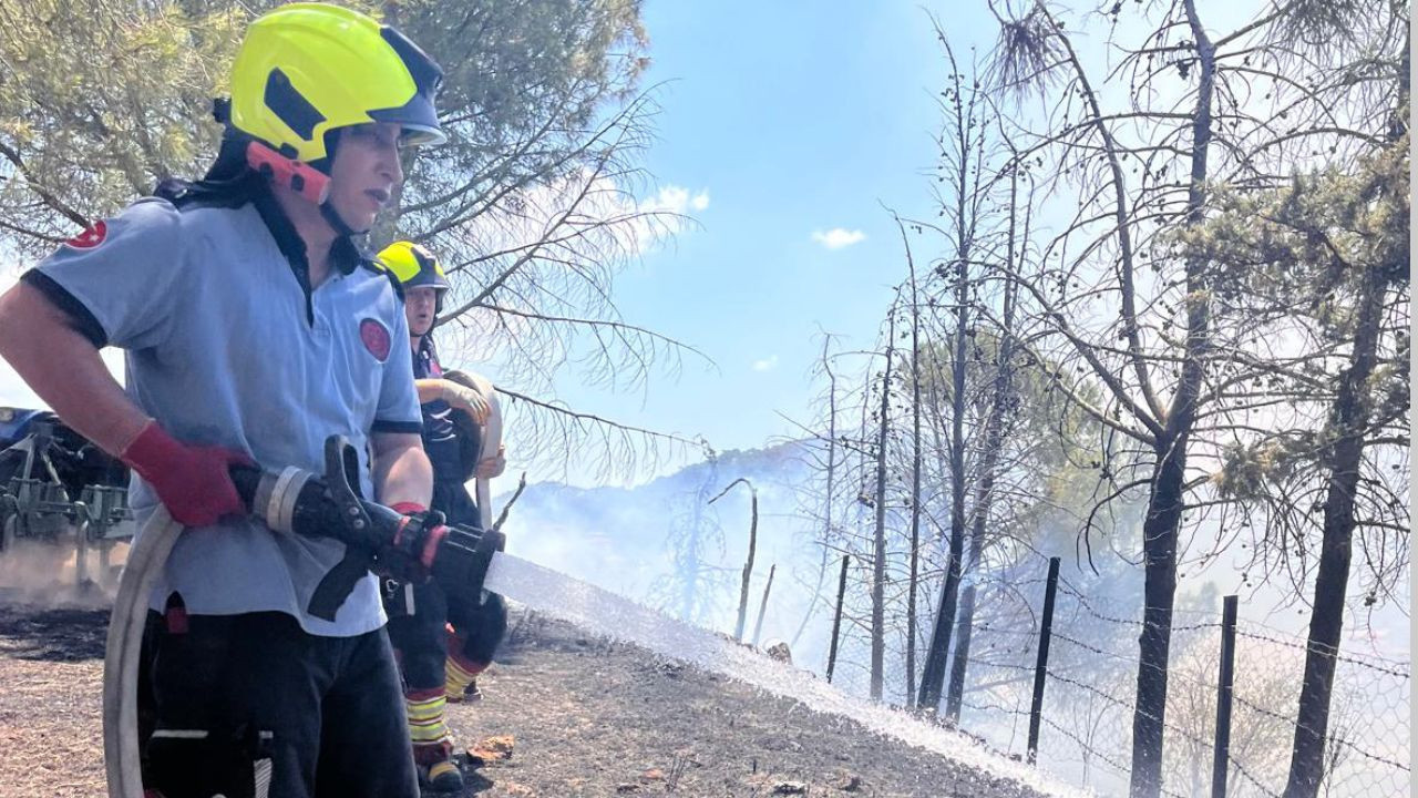 Burhaniye Pelitköy'de Ormanlık Alanda Yangın Korkuttu