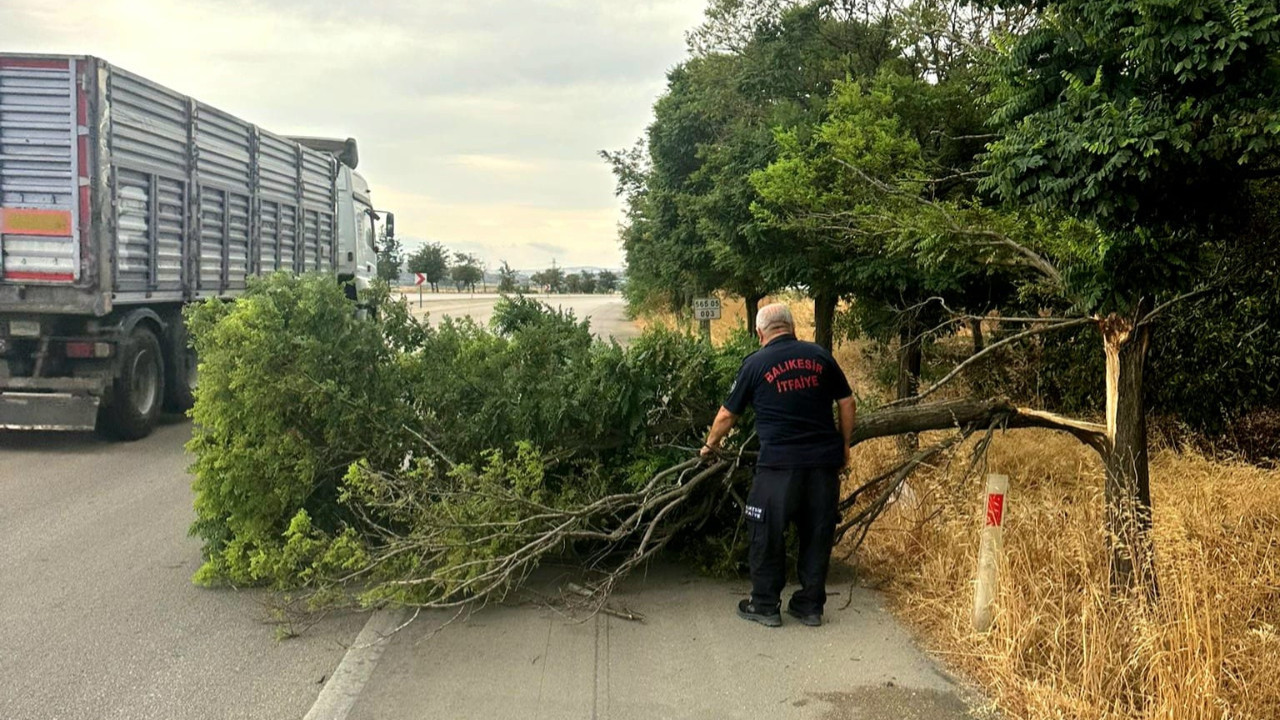 Balıkesir’de Şiddetli Fırtına Ağaçları Devirdi
