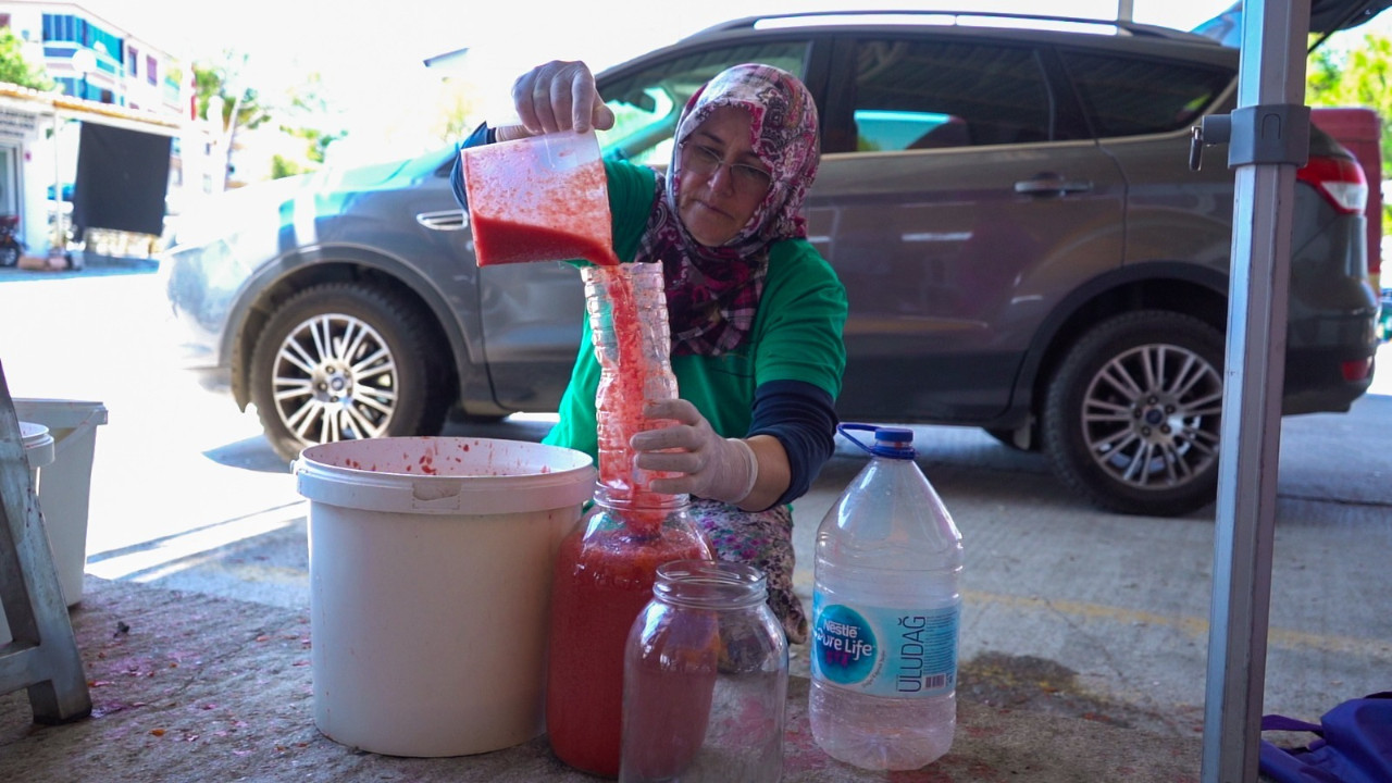 Ayvalık’ta Salça Zamanı Başlıyor!