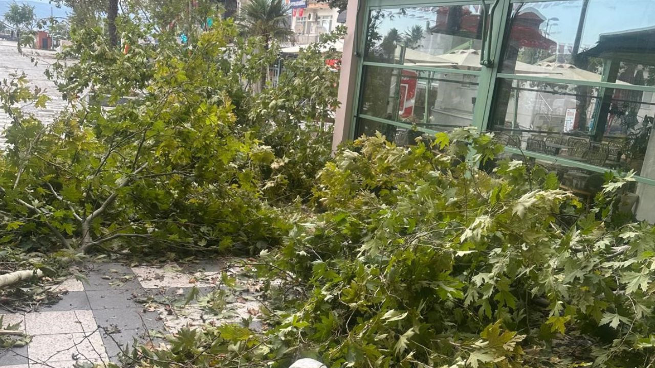 Bandırma'da Şiddetli Fırtına Ağaçlar Devrildi, Araçlar Hasar Gördü