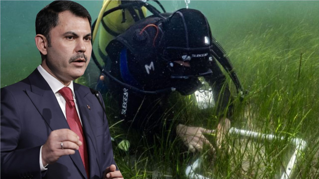 Balıkesir’de Denizin Temiz Olma Sebebini Bakan Kurum Açıkladı