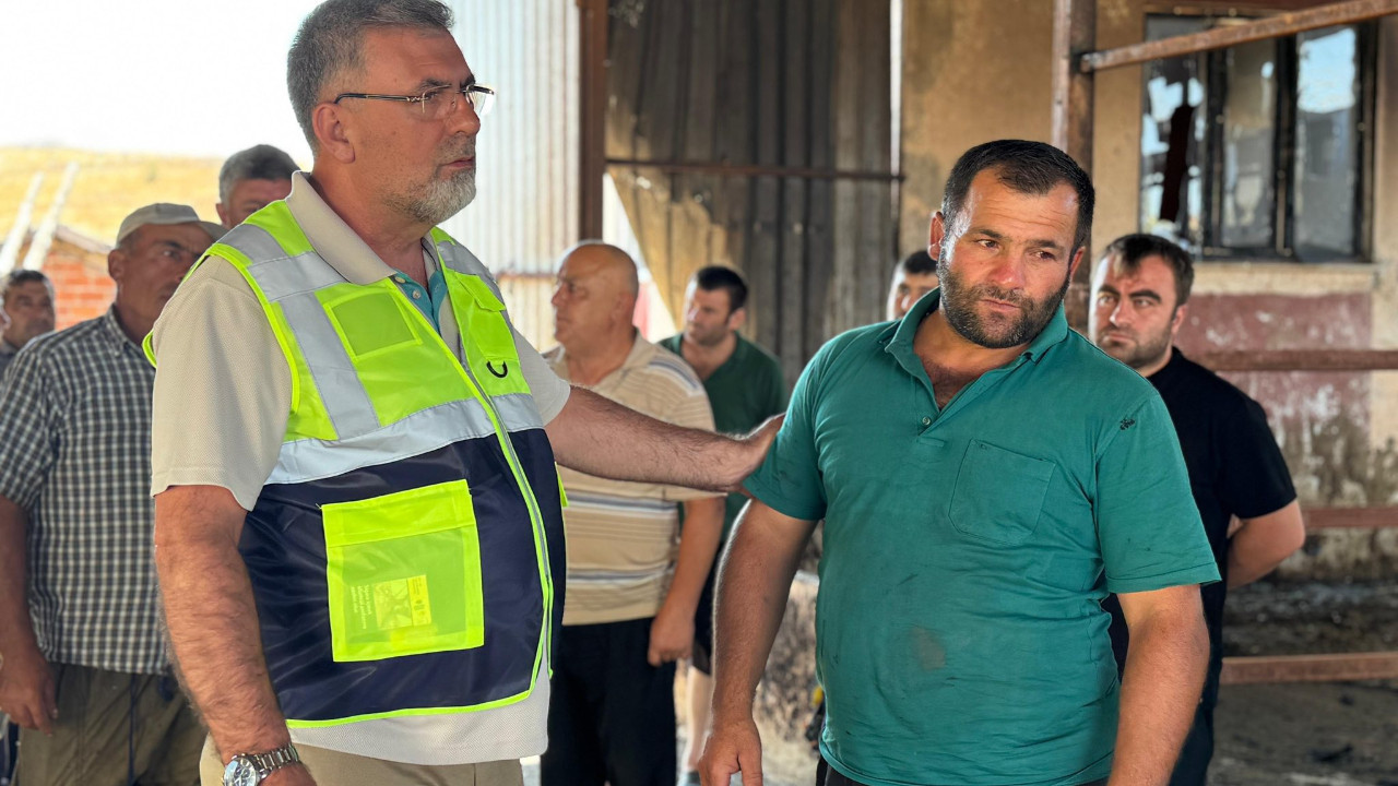 Kepsut’ta Hayvanlar Telef Oldu: Devlet Yetkilileri Destek İçin Sahada