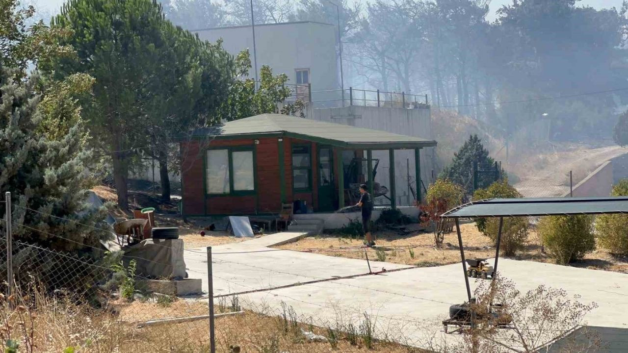 Çanakkale’de büyük yangın çıktı yangın evlere ve işletmelere sıçradı