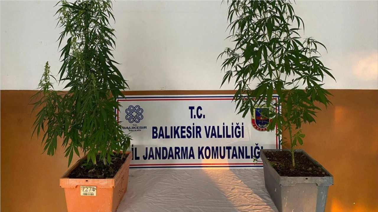 Balıkesir’de Saksıya Gizlenen Ölümcül Hap: 30 Kişi Gözaltında