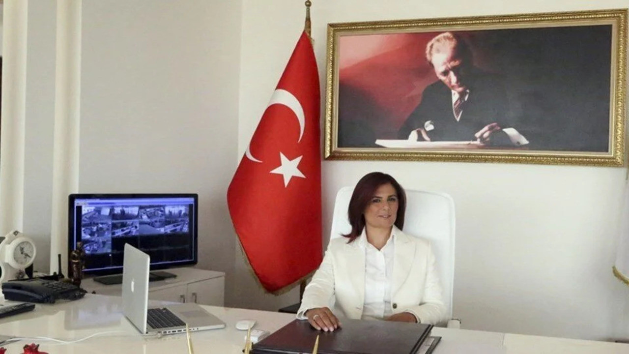 Aydın Büyükşehir Belediye Başkanı Özlem Çerçioğlu Kimdir