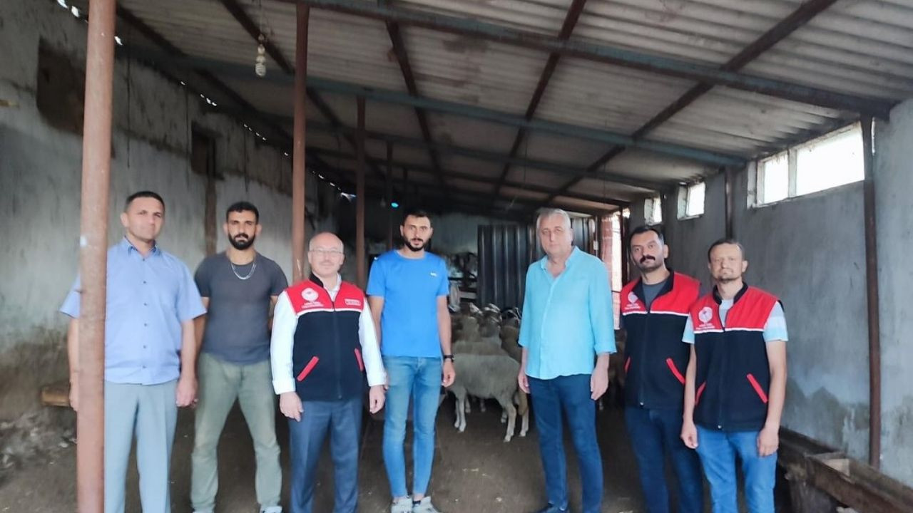 Balıkesir'de Depremzede Çiftçilerin Telef Olan Hayvanların Yerine Yenileri Verildi