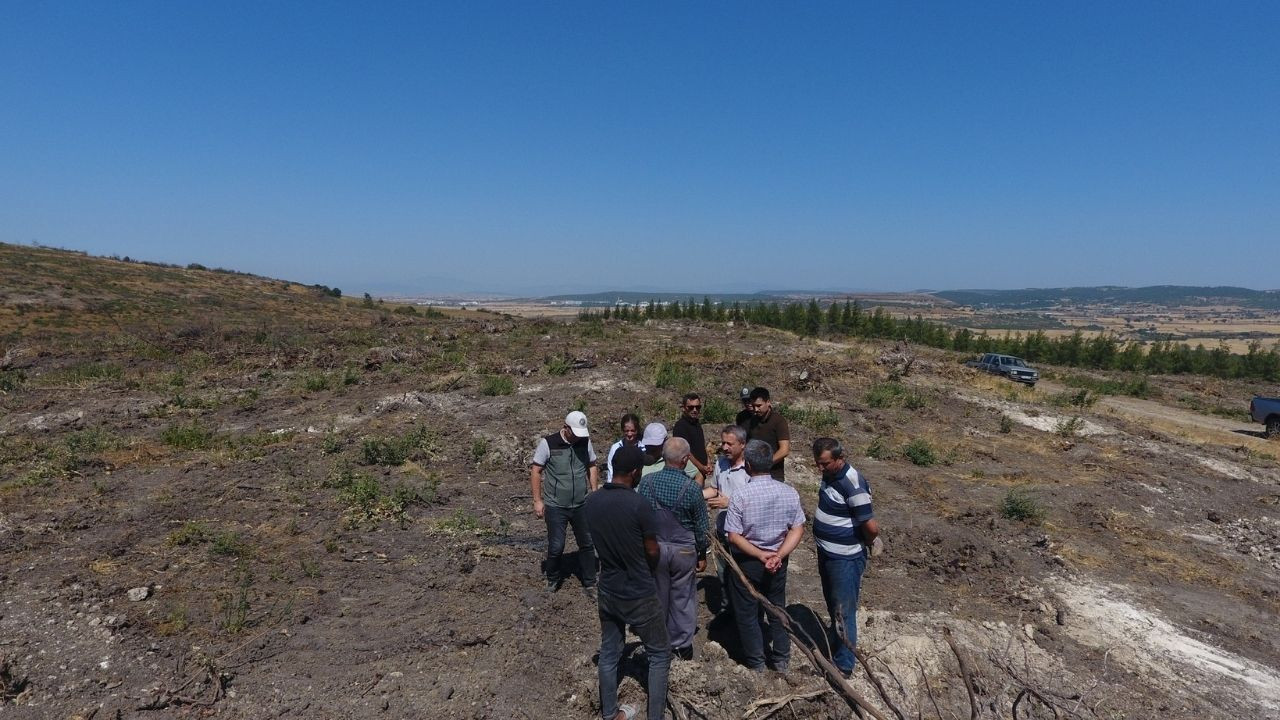 Balıkesir Bigadiç’te Fidan Dikimi Başlıyor